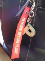 remove before flight