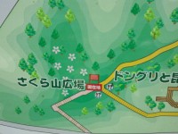 金沢自然公園さくら山広場2